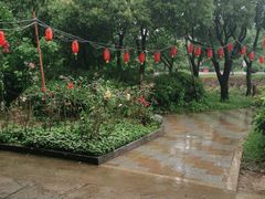 -宾湖农庄·农场特色(太湖龙之梦店)