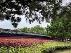 -观潮胜地公园