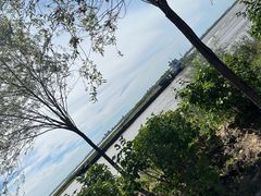 -呼兰河口湿地公园