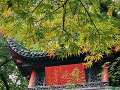 -MAMACHA妈妈茶(岳麓山店)