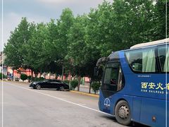 -秦始皇兵马俑博物馆-停车场