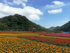 -广州市石门国家森林公园