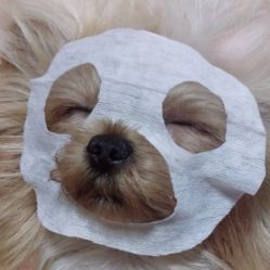 -美酱公社·轻奢美肤中心