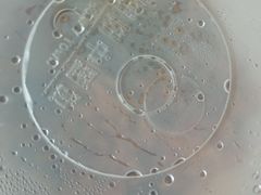 -阳阳中国饭(龙湖大兴天街)