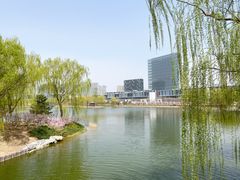 -大兴滨河森林公园