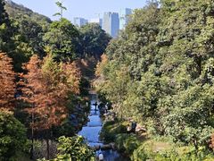 -云溪植物园
