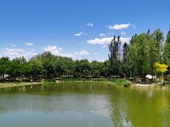 -东郊湿地公园