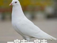 -好利来(木渎店)