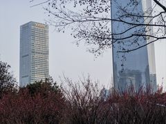 -陆家嘴中心绿地