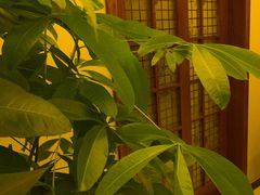 -汐悦汇足疗·星级·订制·唤醒SPA(西客站)