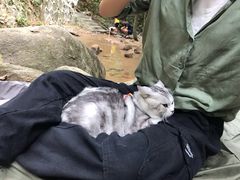 -火炉山森林公园