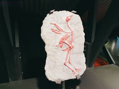 -现代汽车文化中心 Hyundai Motorstudio Beijing
