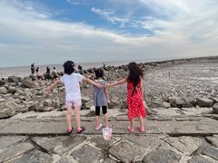 -南汇嘴观海公园