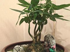 -广州酒家(昌岗地铁站店)