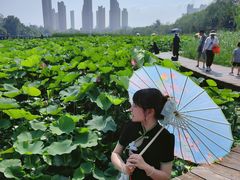 -前关湿地公园
