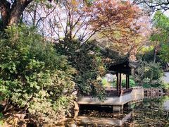-秋霞圃