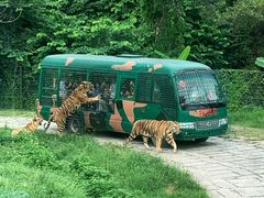 -深圳野生动物园