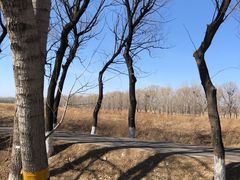 -东郊湿地公园