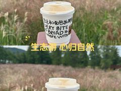 -四明湖