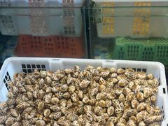-莲花公园煎蟹(总店)