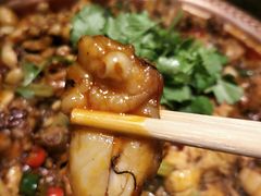 -沪小二炭火蛙锅(淮海中路美食不夜城店)