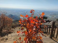 -北京十三陵国家森林公园蟒山景区