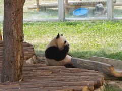 -西安秦岭野生动物园