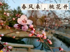 -三里河公园
