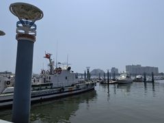 -日照世帆赛基地