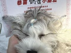 -御宝贝24h宠物医院·转诊中心·CT核磁血透中心(厦门总院)