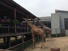 -石家庄市动物园