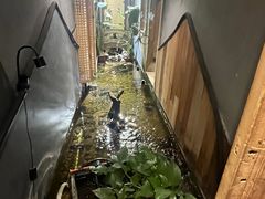 -邈墨茶馆(凤起路店)