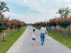 -季高兔窝窝亲子园(上海薰衣草公园店)