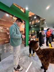 -神奇动物撸宠馆·羊驼·小浣熊·异宠(豫园店)