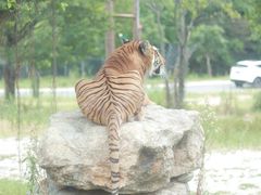 -乐和乐都主题乐园