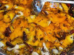 水煮鲟龙鱼片-水煮鱼乡·川京菜(蛇口店)