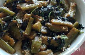 Perilla Eggplant