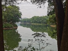 -红花湖景区