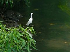 -成都市活水公园