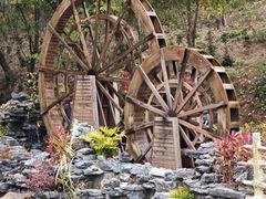 -广州白江湖森林公园