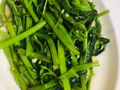 -绿光森林餐厅