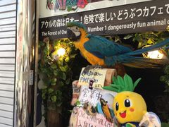 -KOI The(国際通り店)