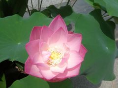 -淳安二十八道·美食汇·淳鱼馆(阳光路店)