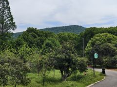 -虞山风景区