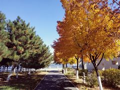 -长春世界雕塑园冰雪艺术天地