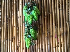 -民俗村柴火灶·景德江西菜(中国陶瓷博物馆店)
