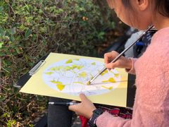-百林公园-两江幸福广场