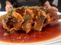 -金春禧(英雄山路旗舰店)
