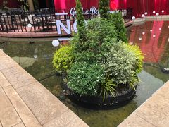 -Nord Grill&Bar Highland诺德西餐(深圳欢乐海岸店)