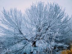 -大觉寺-停车场